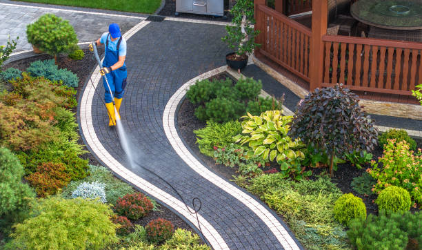 Best Power Washing Near Me  in Westway, TX